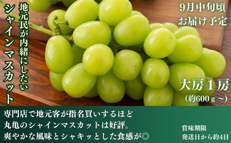 フルーツ 定期便 4回　旬に出逢う城下町の果実 定期配送 いちご 桃 シャインマスカット みかん 果実 果物 ぶどう