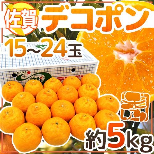 佐賀産 ”デコポン” 秀品 15〜24玉 約5kg 送料無料