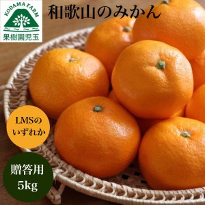 みかん 5kg お歳暮 ギフト 贈答用 和歌山 送料無料 箱買い