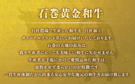 石巻黄金和牛 A5ランク サーロインステーキ 500g（約250g×2）