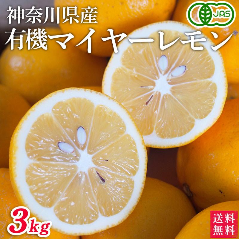 神奈川県産　有機ＪＡＳ認定　マイヤーレモン　３ｋｇオーガニック・Organic