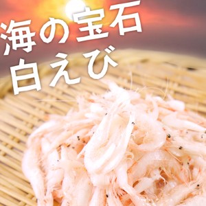 白えび 500g 海の宝石(nh169398)