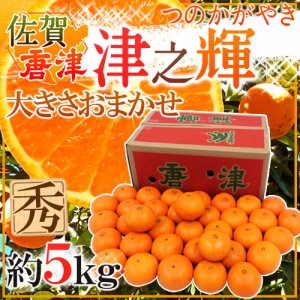 佐賀県 JAからつ ”津之輝” 秀品 約5kg 大きさおまかせ 送料無料