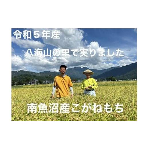 ふるさと納税 新潟県 南魚沼市 新米です！南魚沼産こがねもち5kg　　　　　八海山の里で実りました。[令和5年産]