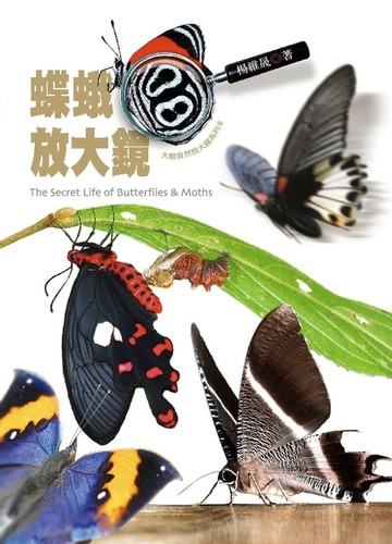 【電子書】蝶蛾放大鏡