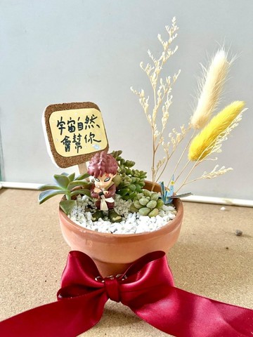 台中多肉組盆 多肉植物 日式枯山水 微景觀系列 火影忍者 我愛羅