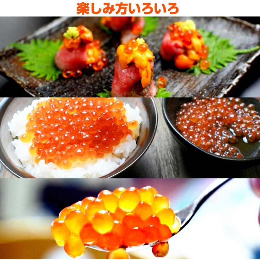 最安値挑戦！ いくら 醤油漬け 500g×2パック 計1kg 粒は小さいけど味は抜群！ 紅鮭 イクラ 贈答 いくら丼 お正月 お歳暮 年末年始