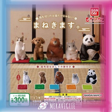 【M.M小舖】『現貨』BANDAI 轉蛋 扭蛋 招財動物公仔 招財 朝福 幸運動物 日本 全5款