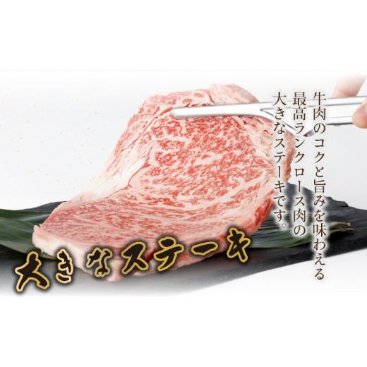 ふるさと納税 宮崎県 串間市 KU309 宮崎牛ロースステーキセット 計500g (250ｇ×2)