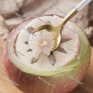 台灣現貨 羊奶果種子（50粒）四季種植 德甜二號 牛奶果 甜羊奶 胡頹子高產水果種子 盆栽造景 蜜源植物 耐陰耐旱 多年