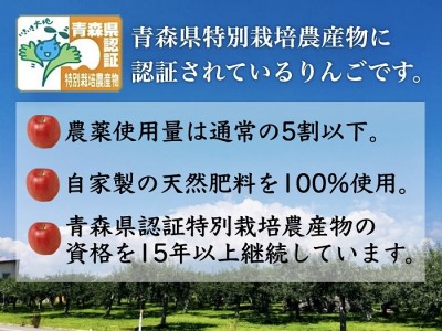 1月発送 訳あり 家庭用 葉とらずサンふじ 約5kg 青森県特別栽培農産物認証農園