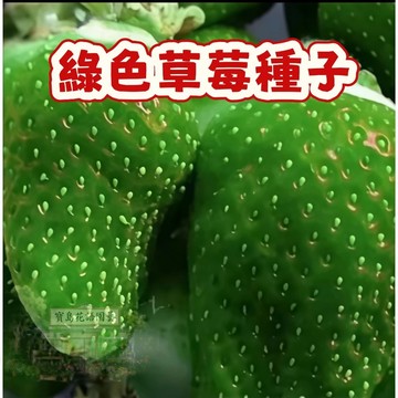 🍓草莓種子 【綠色草莓種子】今年新籽 發芽率高 四季種植當年結果  營養豐富 多汁可口 懶人易種植