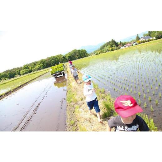 ふるさと納税 岩手県 雫石町 新米 農薬使用回数限定 あきたこまち 玄米 5kg  ／ 米