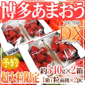 福岡産 博多 ”超大粒 あまおういちご” 等級DX（デラックス） 2箱（1箱あたり約270g（7粒前後）×2パック） 送料無料