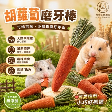 【台灣現貨/隔日達】倉鼠磨牙零食 胡蘿蔔磨牙棒 倉鼠零食 天然草棒 小寵物磨牙玩具 倉鼠磨牙用品 兔子磨牙零食
