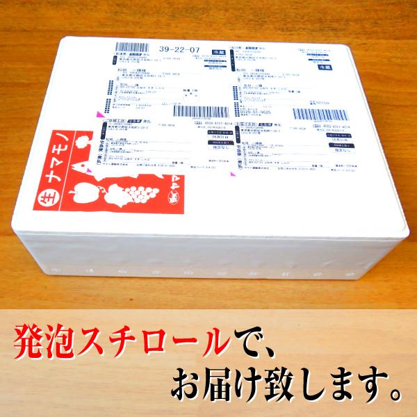 貝類 シジミ 送料無料 島根県 神西湖産 大和しじみ 1kg