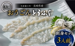 活〆おうごんとらふぐ 刺身 セット（3人前） 平戸市   松永水産 [KAB123]