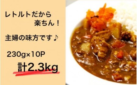 1793R_肉屋のまかない豊後牛カレー2.3kg（230g×10P）