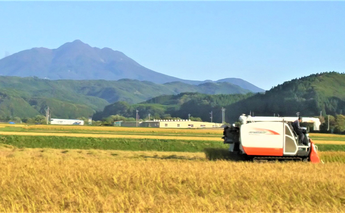 青森県鰺ヶ沢町産令和5年産 はれわたり 白米 5kg（5kg×1袋）