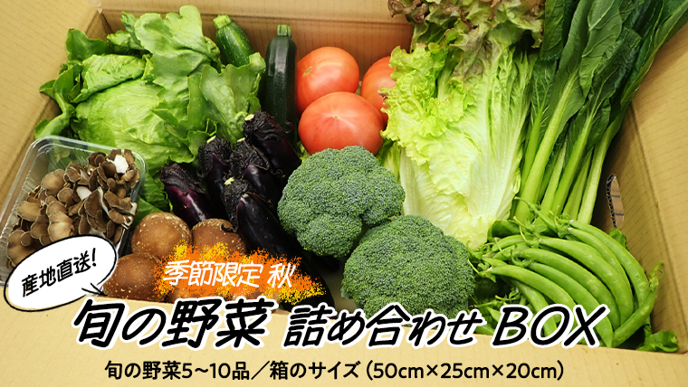  産地直送 ！ 旬 の 産直 野菜 セット 詰め合わせ BOX 新鮮 詰合せ つめあわせ 直送 茨城 茨城県 おまかせ [CN001ya]