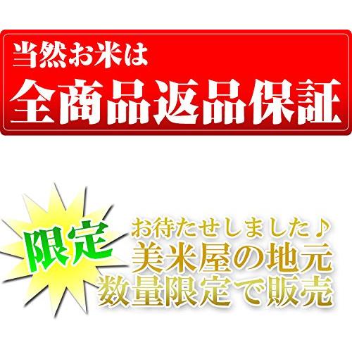 新米 愛知県こしひかり 白米 5kg×2 令和5年産