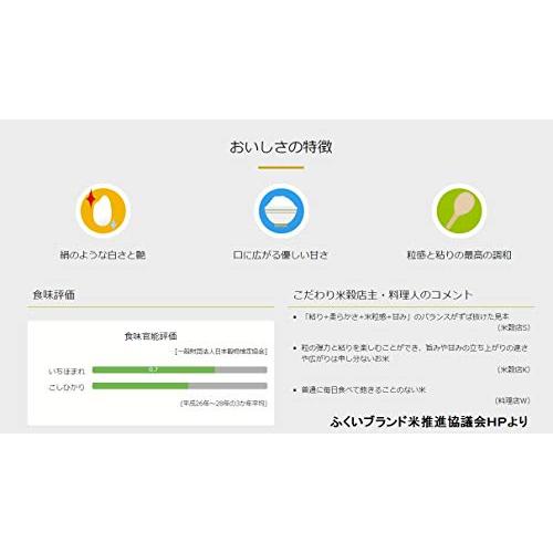 令和5年産 いちほまれ 福井県産 特別栽培米 5kg