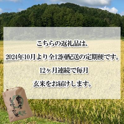 ふるさと納税 新ひだか町 北海道産希少米 おぼろづき 玄米5kg 