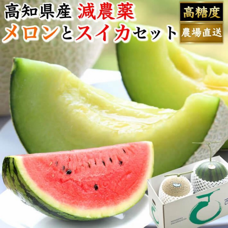 安心の実績 高価 買取 強化中 高知県産スイカ大玉 即購入OK i9tmg.com.br