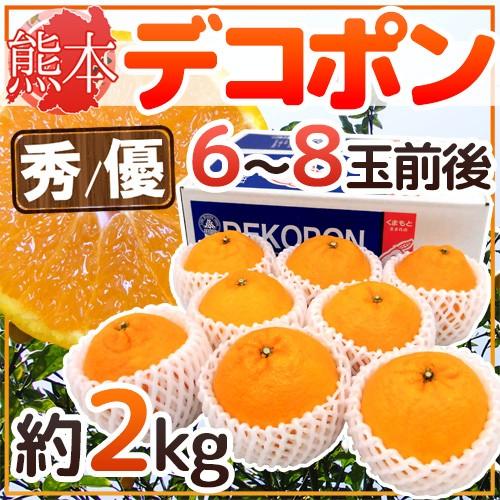 熊本産 ”デコポン” 秀・優品 6〜8玉前後 約2kg 産地箱 送料無料