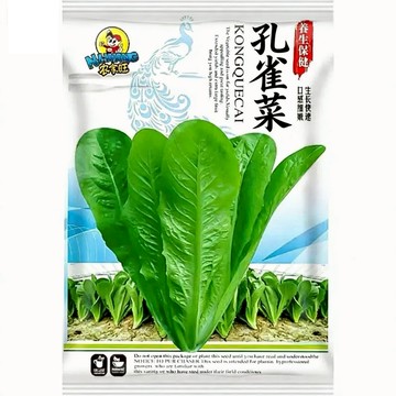 【原廠包裝】孔雀菜種子（Peacock Vegetable）免搭架A菜 嫩葉可不斷採收 耐熱快長 家庭盆栽蔬菜 台灣現貨