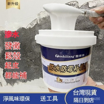 現貨24H出⚡防水防潮 補牆膏 修繕 壁癌 補土膏 壁癌補土 牆麵修補膏 白色膩子膏 家用 內牆塗料 裂縫修復 水泥漆