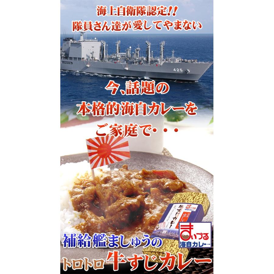 海上自衛隊『補給艦ましゅう』のとろとろ牛すじカレー レトルト 200g×3食入り×2箱  6食入り