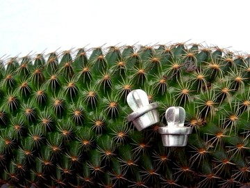 仙人掌  ‧ 多肉植物 | 純銀 耳針 耳環