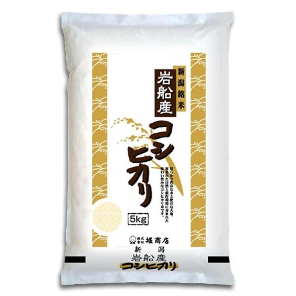 [新米 令和5年産] 岩船産コシヒカリ 厳選産地米 5kg (5kg×1袋) 新潟米 お米 白米 新潟県産 こしひかり 送料無料 ギフト対応