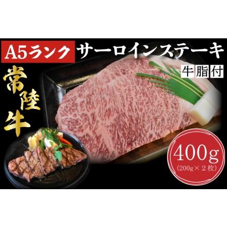 ふるさと納税 DT-1サーロインステーキ　400ｇ（200ｇ×２枚） 茨城県行方市