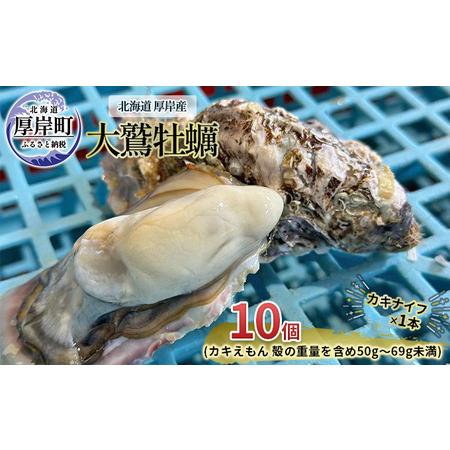 ふるさと納税 北海道 厚岸産 大鷲牡蠣 10個 北海道厚岸町