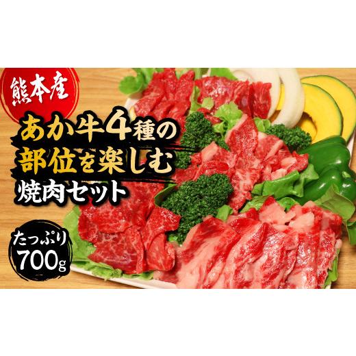 ふるさと納税 熊本県 熊本市 国産 熊本県産 和牛 あか牛 焼き肉  あか牛4種のお肉を堪能する焼肉セット もも カルビ ロース 上カルビ