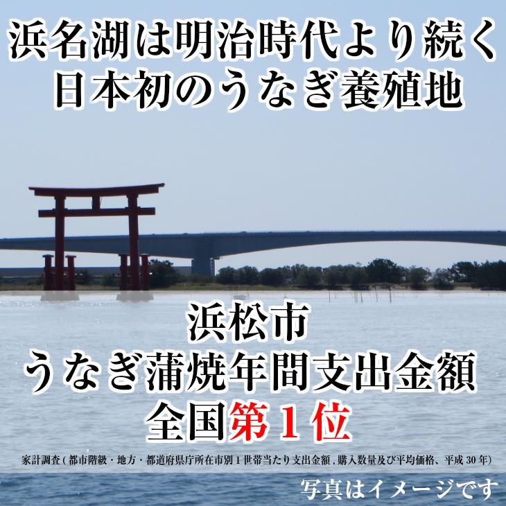 うなぎ 蒲焼 1尾入り 浜名湖産 送料無料 国産 父の日 お中元 土用の丑の日 ギフト お返し 内祝 ウナギ 浜名湖 お取り寄せ 土用の丑 グルメ プレゼント 鰻 蒲焼き