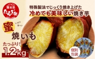  紅はるか 蜜焼いも 合計1.2kg ＜ 120g 個包装 ×10 パック ＞ 真空袋 真空パック 焼芋 焼き芋 さつまいも 常温 042-0581