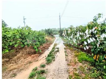 楠西近龜丹溫泉4.6分農地｜台南市楠西區龜丹