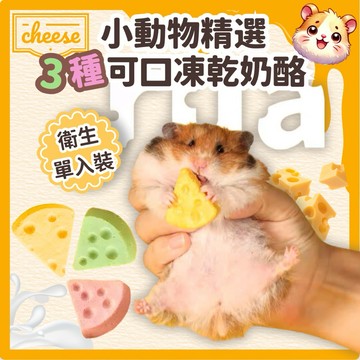 倉鼠凍乾 倉鼠奶酪 小動物可口凍乾奶酪 倉鼠零食 黃金鼠零食 蜜袋鼯零食