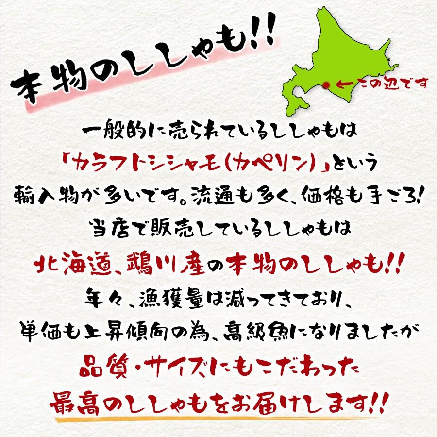 ＼本物のししゃも／ 北海道産 鵡川産 むかわ ししゃも オス 30尾 特大 本ししゃも 柳葉魚 送料無料 おつまみ お取り寄せグルメ クール便