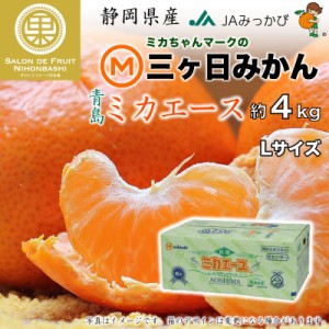 [予約 1月4日から1月15日のご納品]  三ケ日みかん 青島 ミカエース 約 4kg Lサイズ 静岡県産  JAみっかび  青島みかん 産地箱 お年賀 御