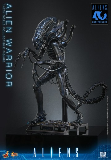【預購】HOT TOYS MMS898 異形2 異形戰士