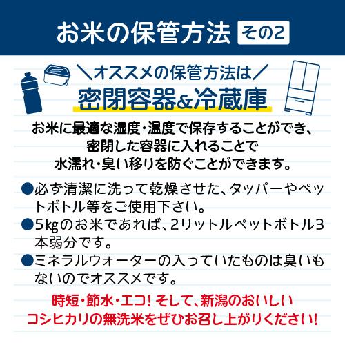 新米 令和5年 無洗米 10Kg 5Kg×2 送料無料 コシヒカリ 新潟 あすつく 米 新潟県産 こしひかり 美味しい お米 白米 おいしいお米 美味しい米