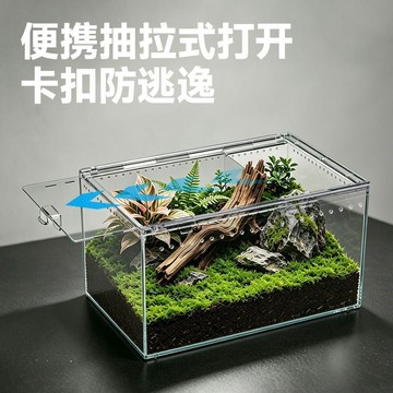 💕在臺出貨🔥爬蟲亞克力飼養盒寵物箱變色龍蜘蛛守宮角蛙甲蟲蠶寶寶爬寵箱 人渣盒 爬蟲飼養箱 飼養箱 爬蟲箱\t飼養盒