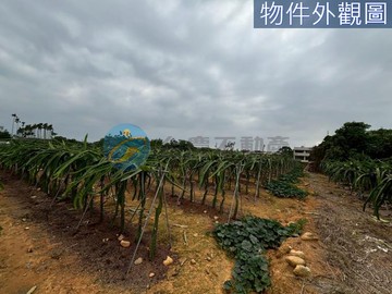 名間東新厝圓環旁3.7分鄉村休閒農地｜南投縣名間鄉東新厝段