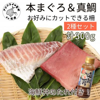 ふるさと納税 松浦市 海鮮タレ付!長崎県産本まぐろ真鯛　柵セット2種300g