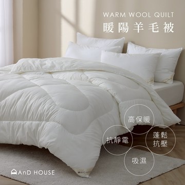雙效合一抗菌被/天絲被/暖鋅發熱被/羊毛被/水洗被 | AnDHouse 棉被 免運 保暖 寒流 被胎