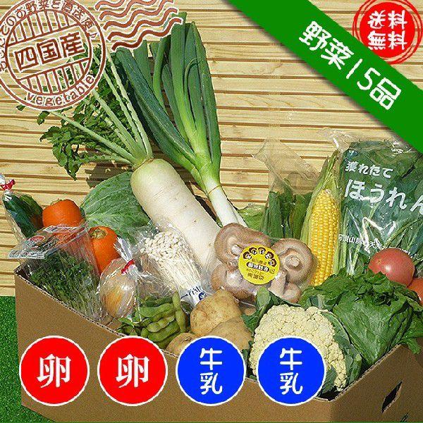 産直あきんど厳選野菜の詰め合わせ15品 牛乳2本 たまご20個セット　送料無料